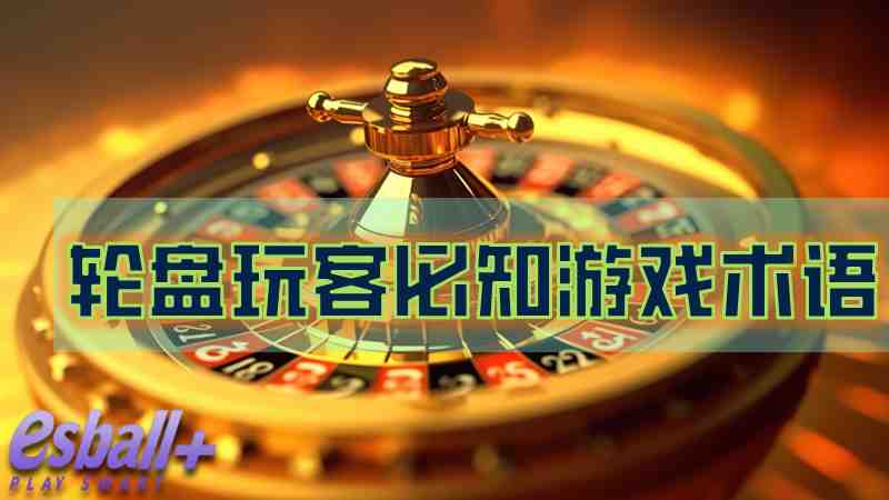 轮盘玩客必知游戏术语，助您轻松应对场上挑战