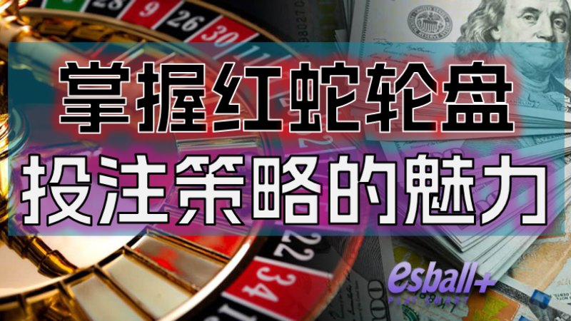掌握趣味游戏轮盘技巧-红蛇轮盘投注策略的魅力