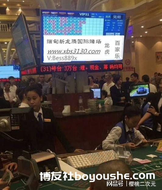 江苏连云港:为境外网络赌博洗钱,12名嫌疑人落网,涉案资金流水上亿元
江苏连云港:为境外网络赌博洗钱,12名嫌疑人落网,涉案资金流水上亿元