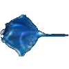 黑斑