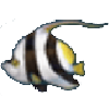 马夫鱼