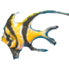峇里天使