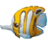 蝴蝶鱼