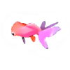 鱼种3