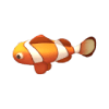 鱼种9