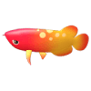 鱼种13