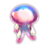 鱼种17