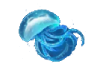 KA海洋传说中奖符号 KA海洋传说中奖符号