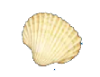 KA海洋传说中奖符号 KA海洋传说中奖符号