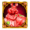 PP5金兔Megaways免费游戏符号