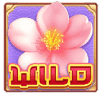 SG发财喵喵爆奖WILD符号 SG发财喵喵爆奖WILD符号