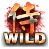 Wild图案
