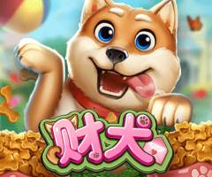 BB电子财犬打出高爆分，柴犬的训练技巧大公开