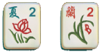 BB碰碰胡正花