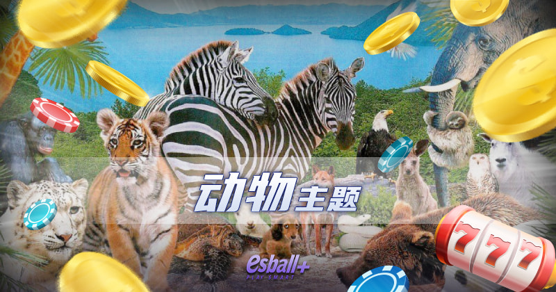 动物主题